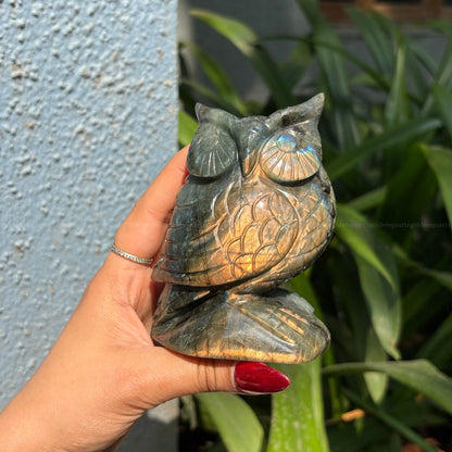 Labradorite Owl Big - Golden Quartz 