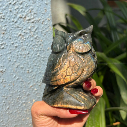 Labradorite Owl Big - Golden Quartz 