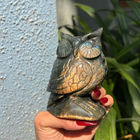 Labradorite Owl Big - Golden Quartz 