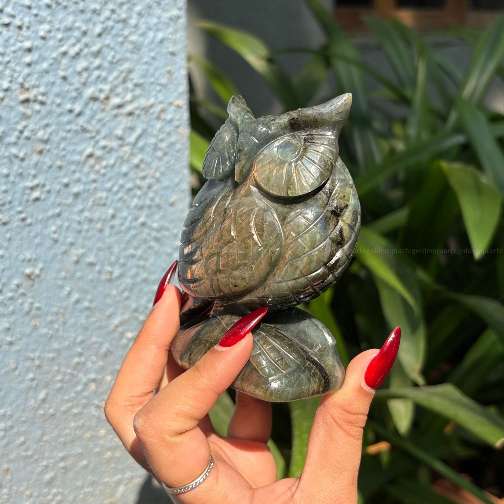 Labradorite Owl Big - Golden Quartz 