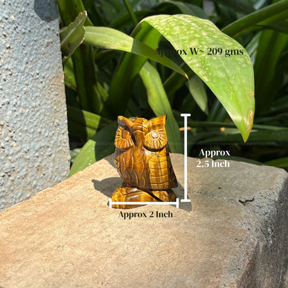 Tiger Eye Owl - Golden Quartz 