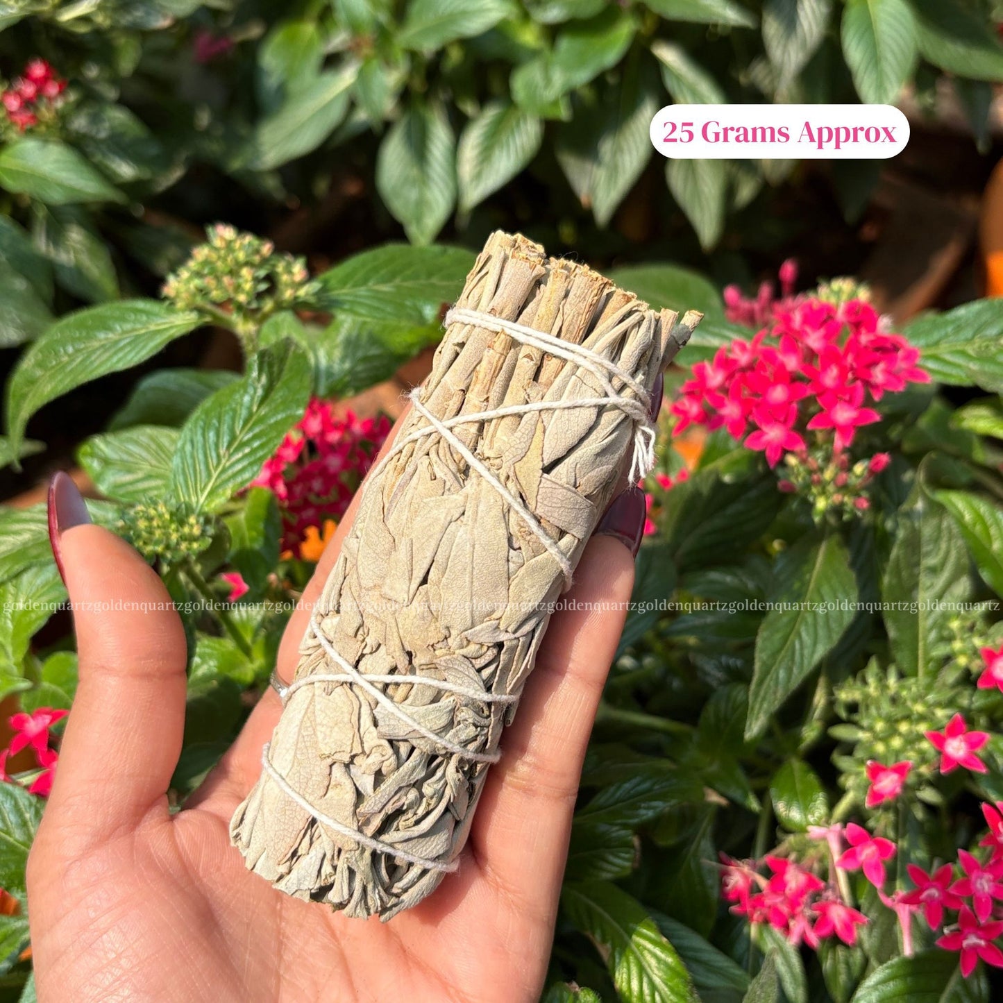SAGE (WHITE CALIFORNIA SAGE)