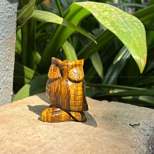 Tiger Eye Owl - Golden Quartz 