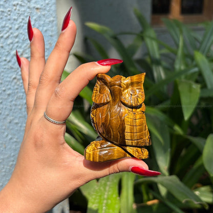 Tiger Eye Owl - Golden Quartz 