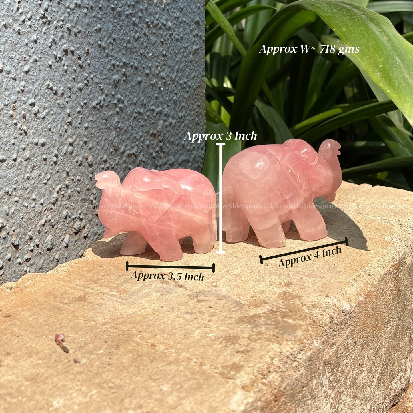 Rose Quartz Elephant Pair (Trunk Up)