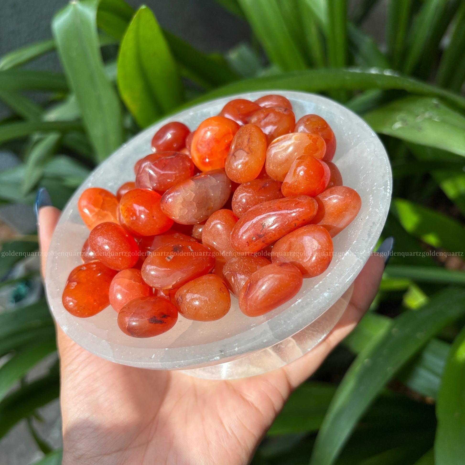 Carnelian Tumble Stone - Golden Quartz 