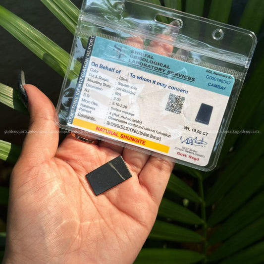 Shungite Chip Anti-Radiant Chips