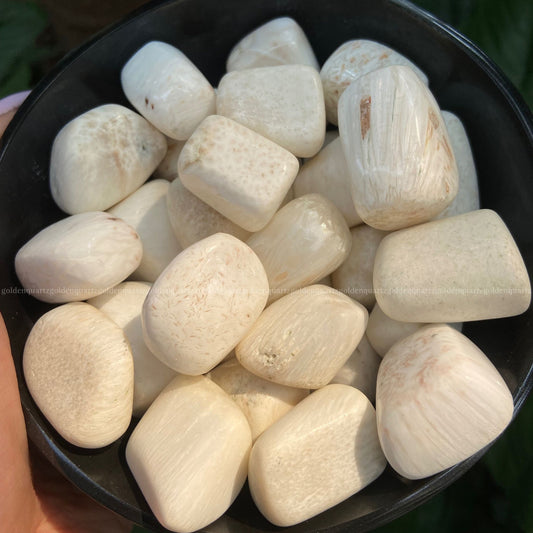 White Scolecite Tumble Stone - Golden Quartz 