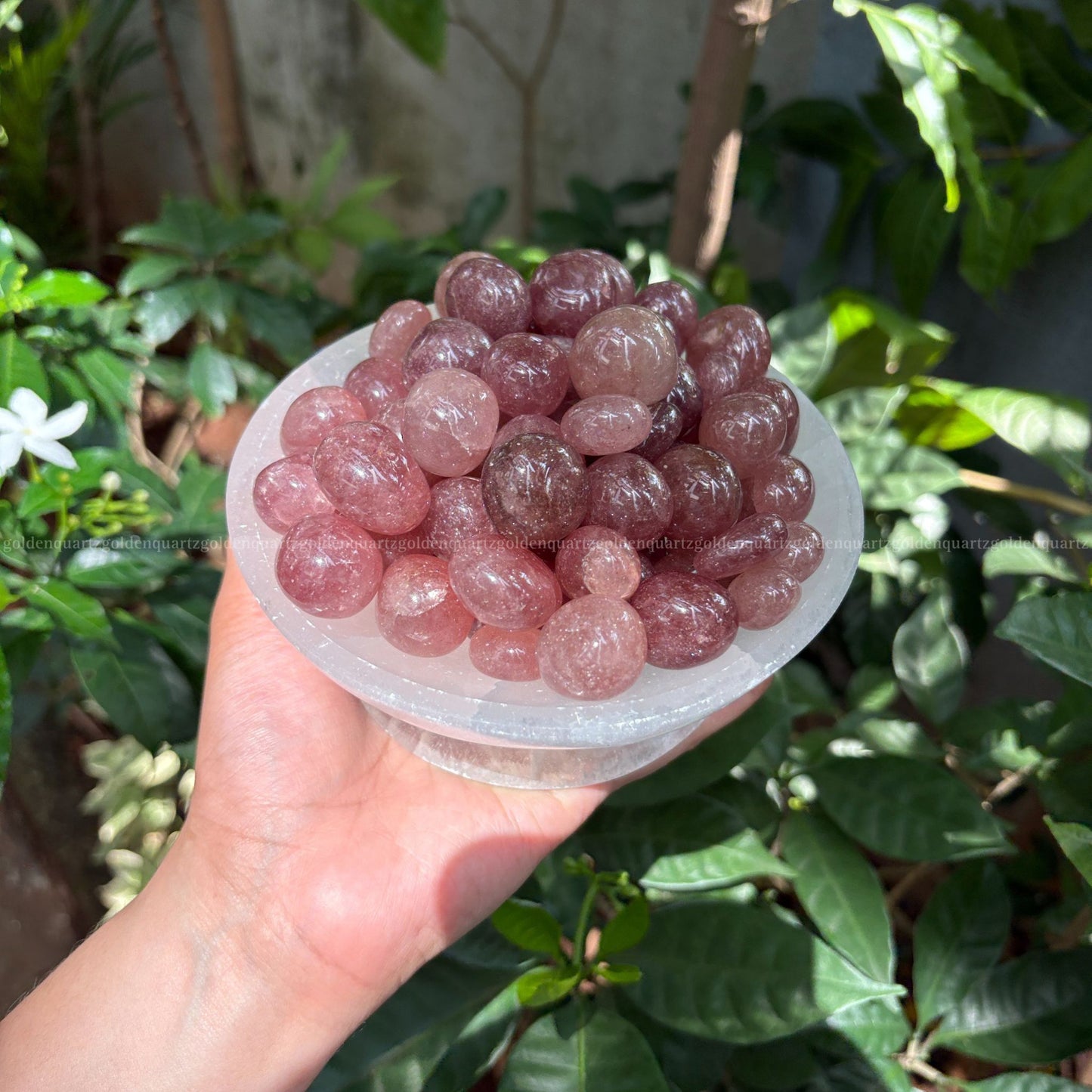 STRAWBERRY QUARTZ TUMBLE STONES - Golden Quartz 