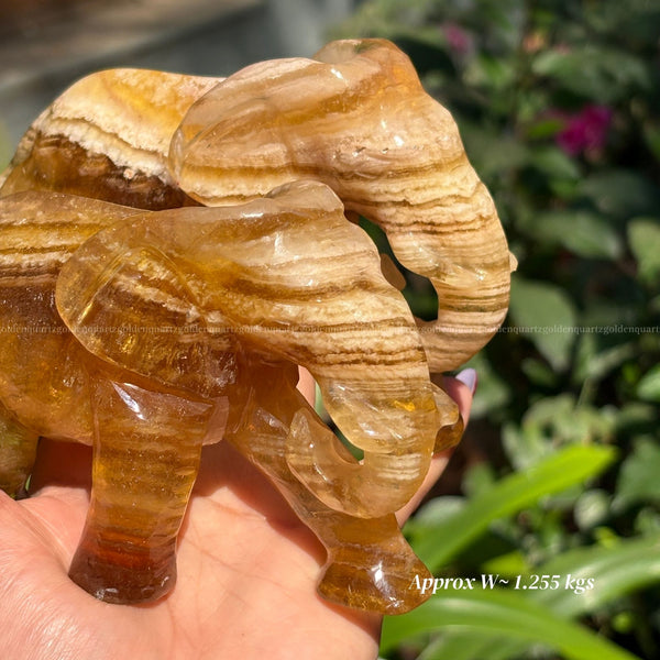 Yellow/ Chocolate Fluorite Elephants Pair  (Trunk Down)