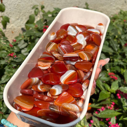 Carnelian Baby Banded Hearts