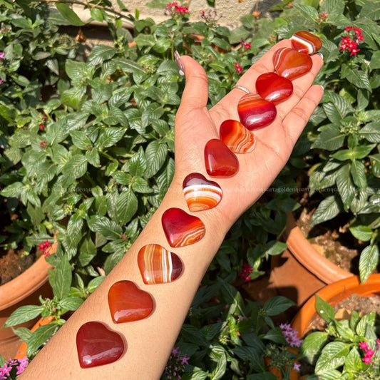Carnelian Baby Banded Hearts