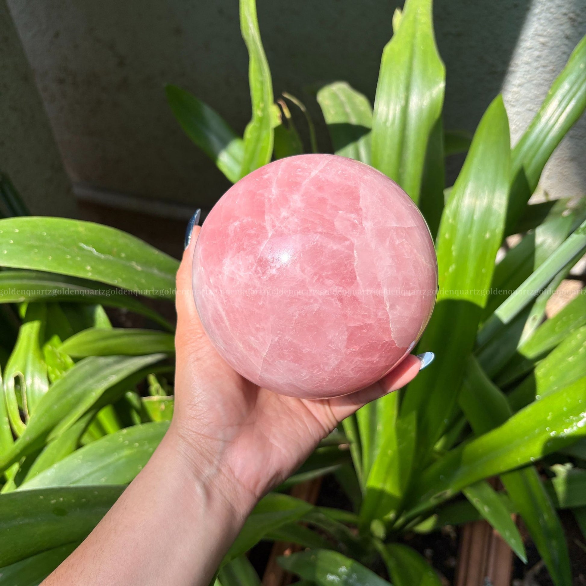 ROSE QUARTZ SPHERE - Golden Quartz 