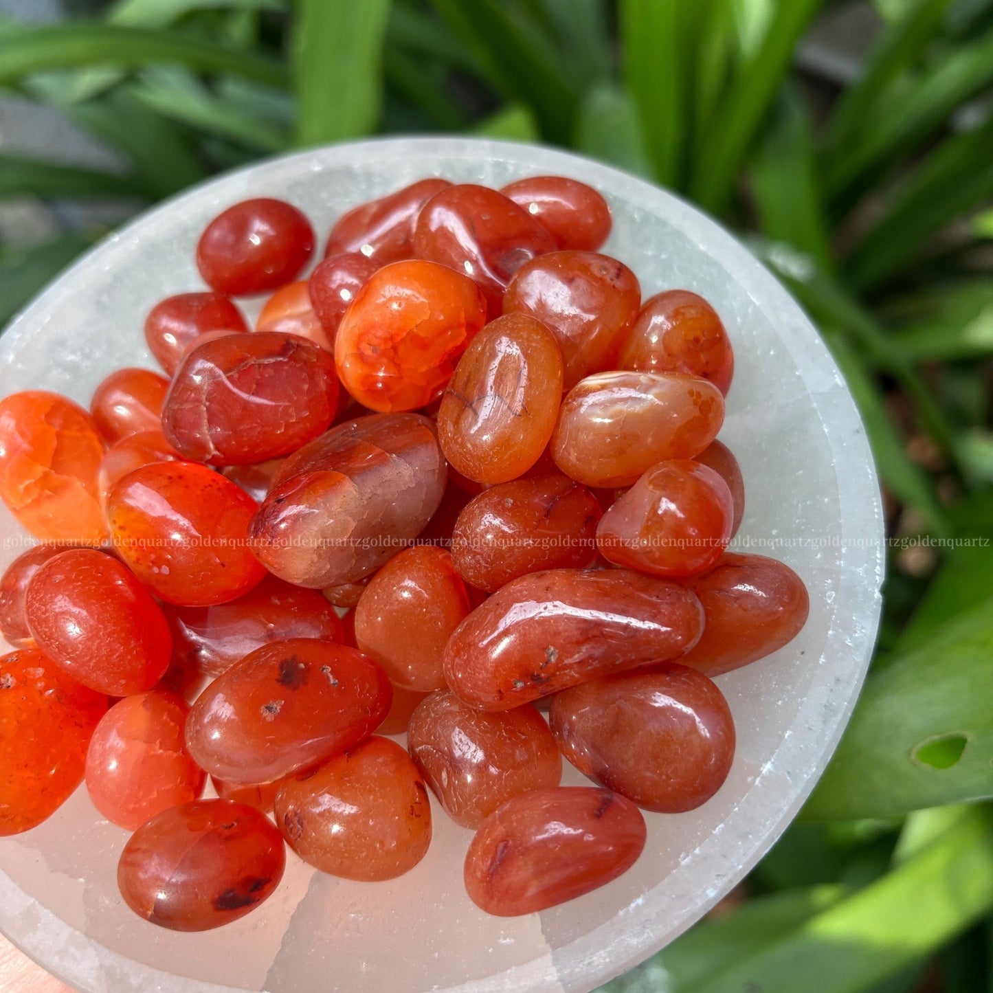 Carnelian Tumble Stone - Golden Quartz 