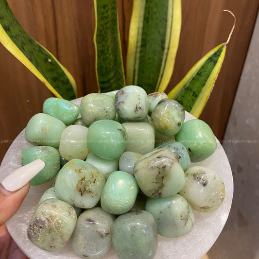 Chrysoprase Tumble Stone - Golden Quartz 
