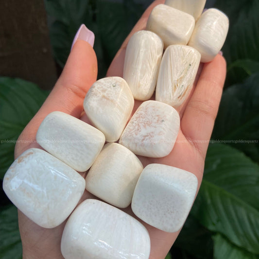 White Scolecite Tumble Stone - Golden Quartz 