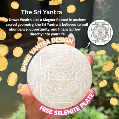 Shree yantra etched selenite plate