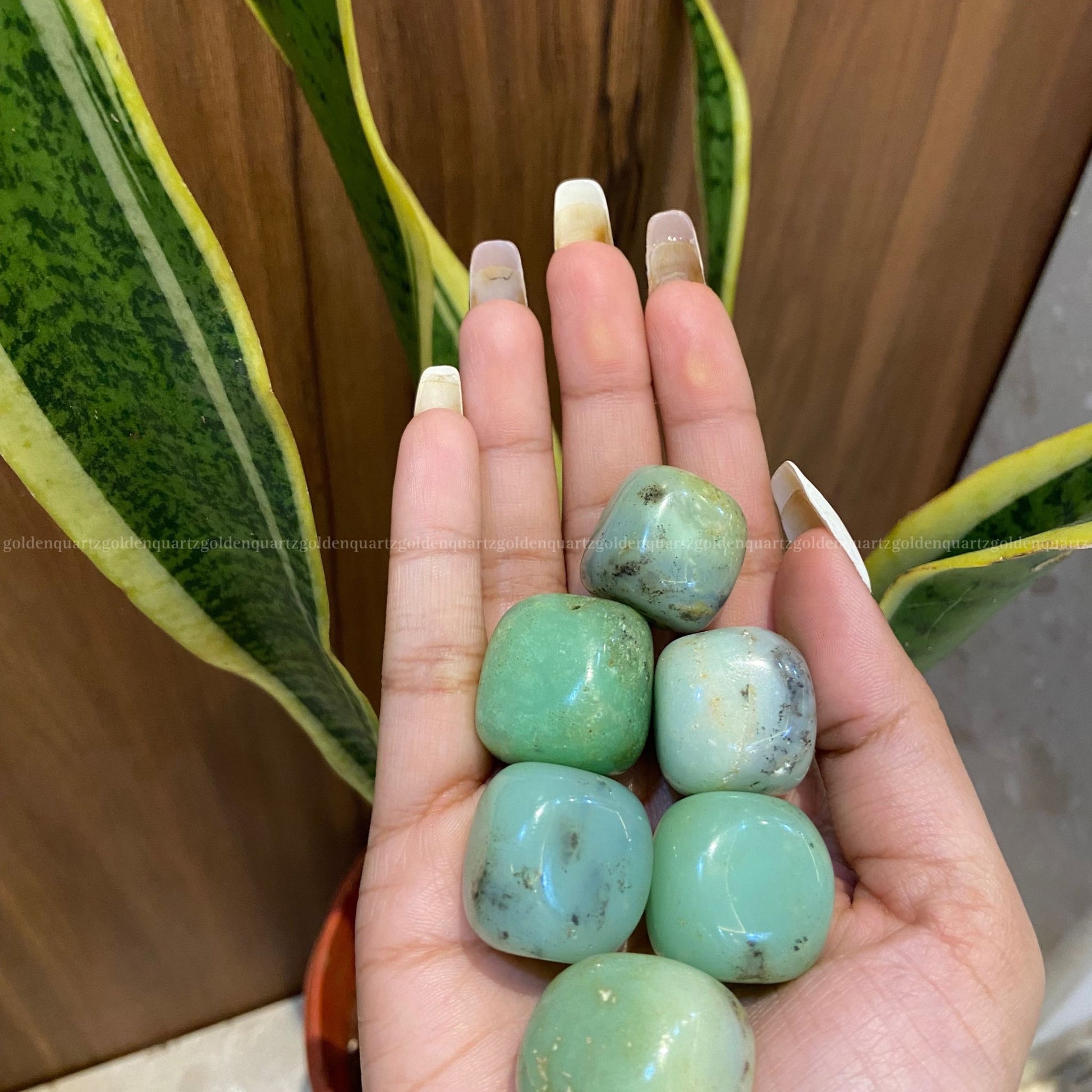 Chrysoprase Tumble Stone - Golden Quartz 