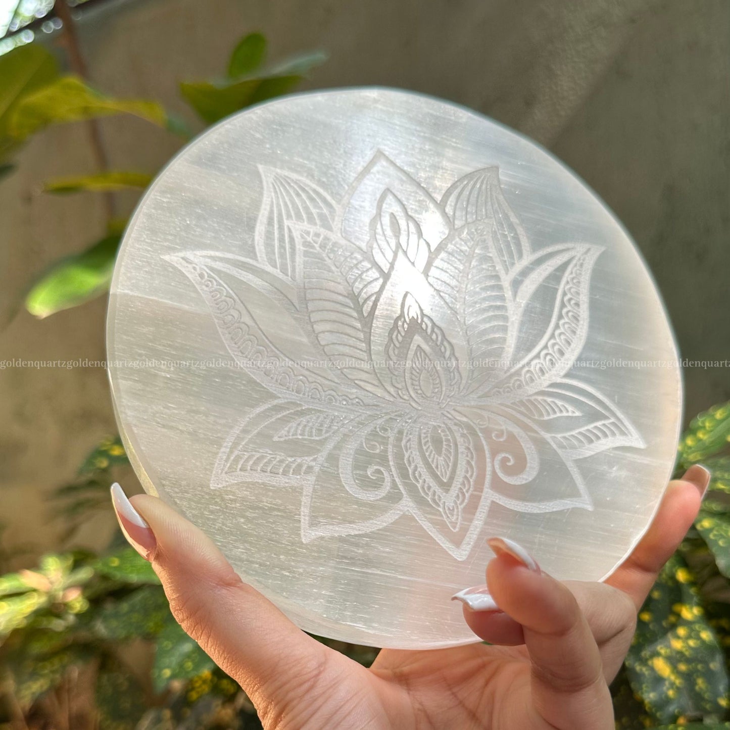 SELENITE PLATE - Golden Quartz 
