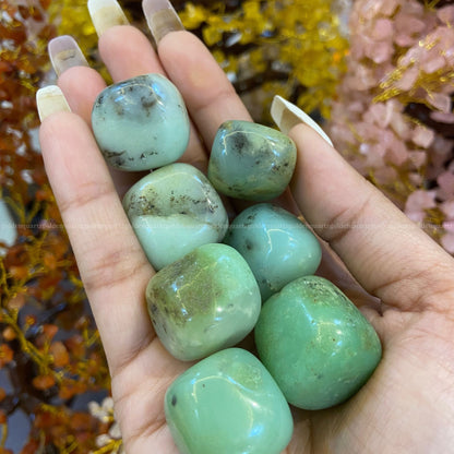 Chrysoprase Tumble Stone - Golden Quartz 