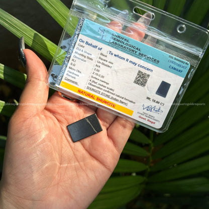 Shungite Chip Anti-Radiant Chips