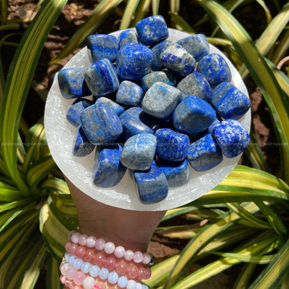 Lapis Lazuli Tumble Stone - Golden Quartz 
