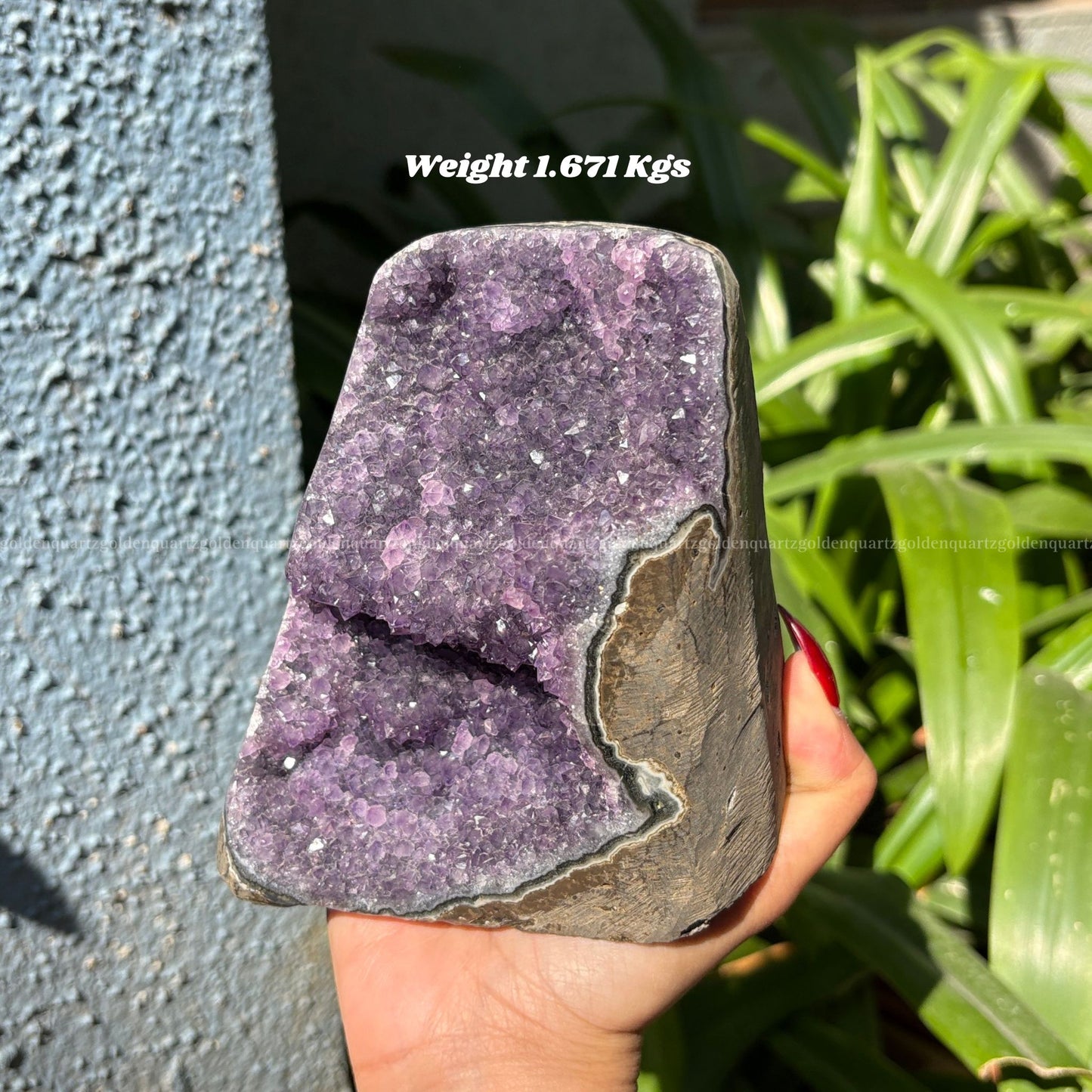 AMETHYST GEODE - Golden Quartz 