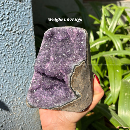 AMETHYST GEODE - Golden Quartz 