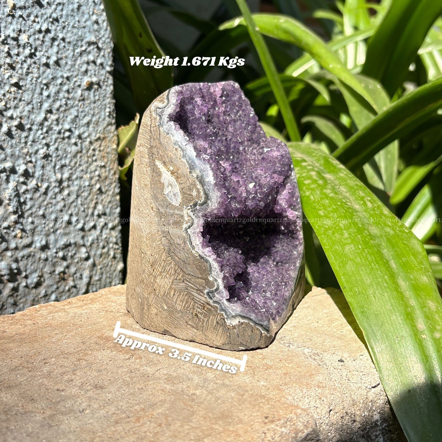 AMETHYST GEODE - Golden Quartz 