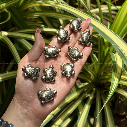Baby Pyrite Tortoise