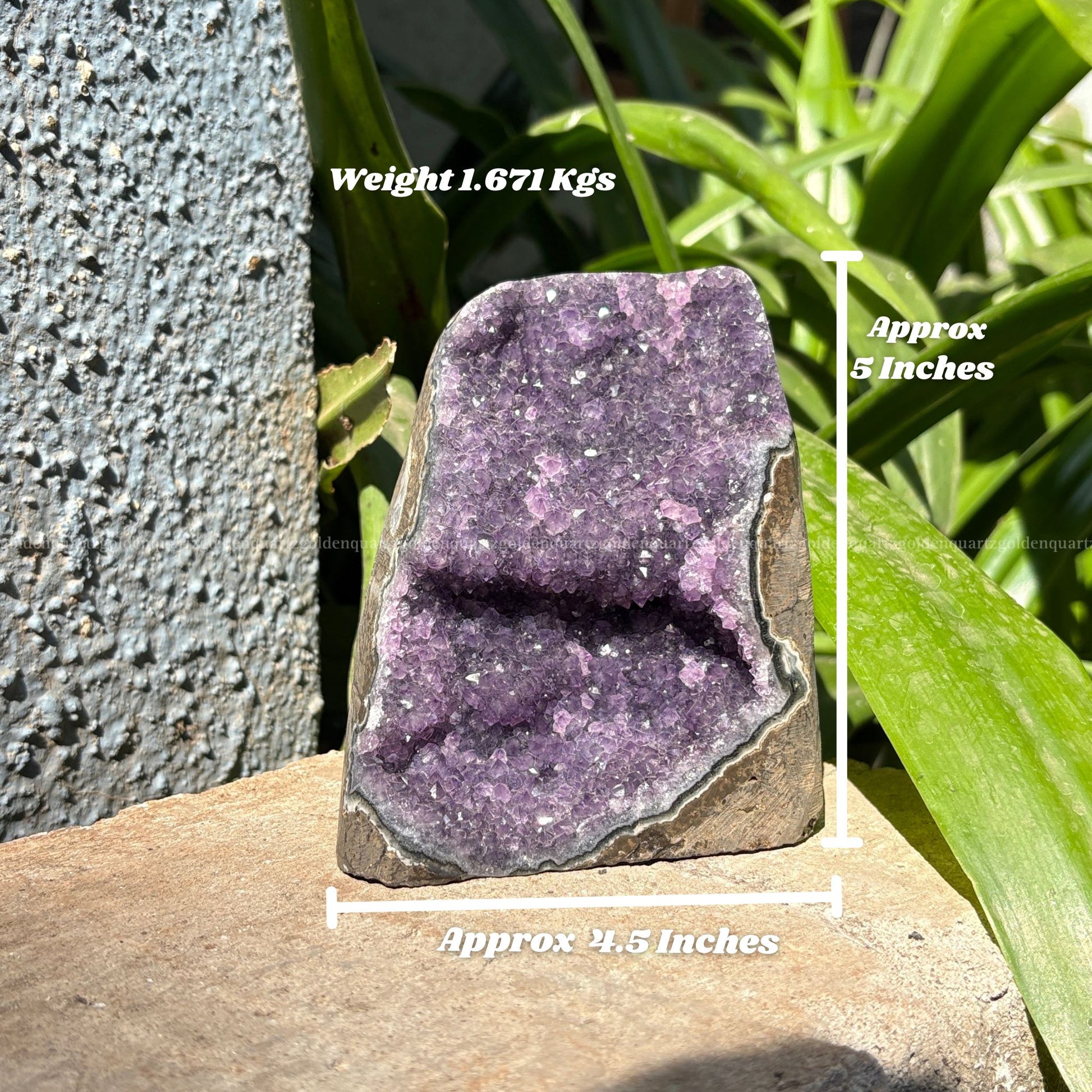 AMETHYST GEODE - Golden Quartz 