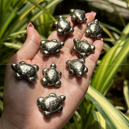 Pyrite tortoise 