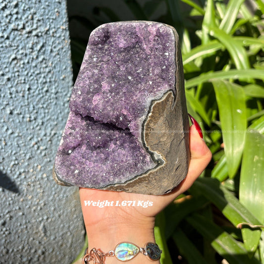 AMETHYST GEODE - Golden Quartz 