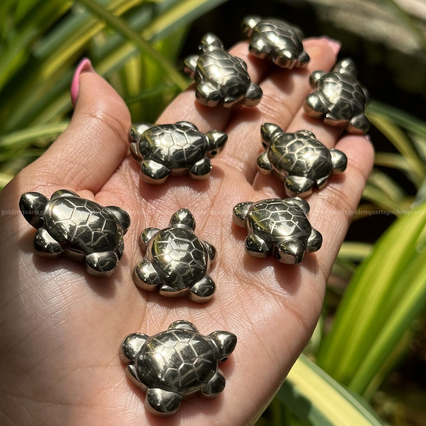 Pyrite tortoise 