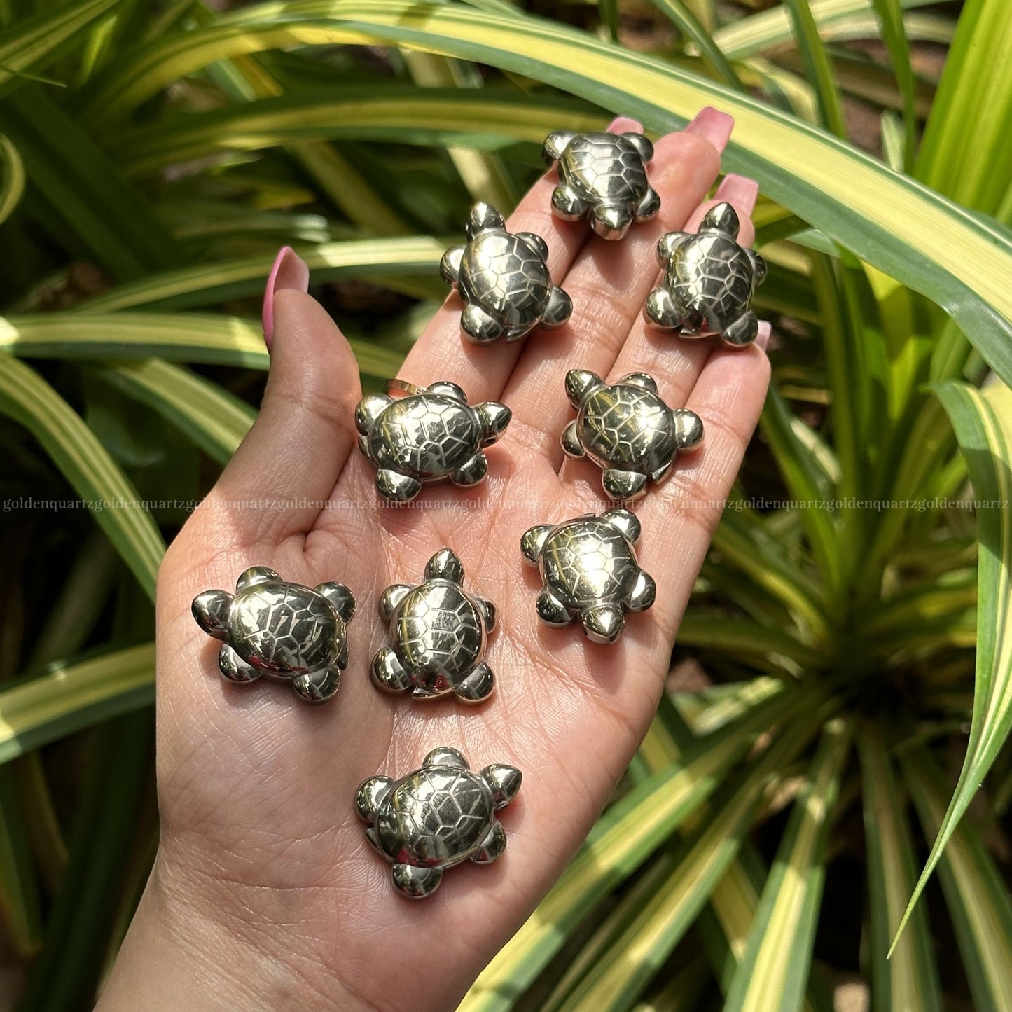 Pyrite tortoise vastu and wealth