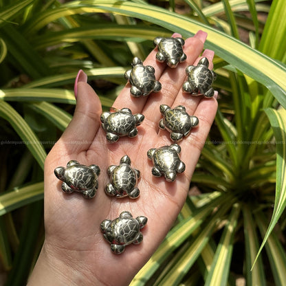 Pyrite tortoise vastu and wealth