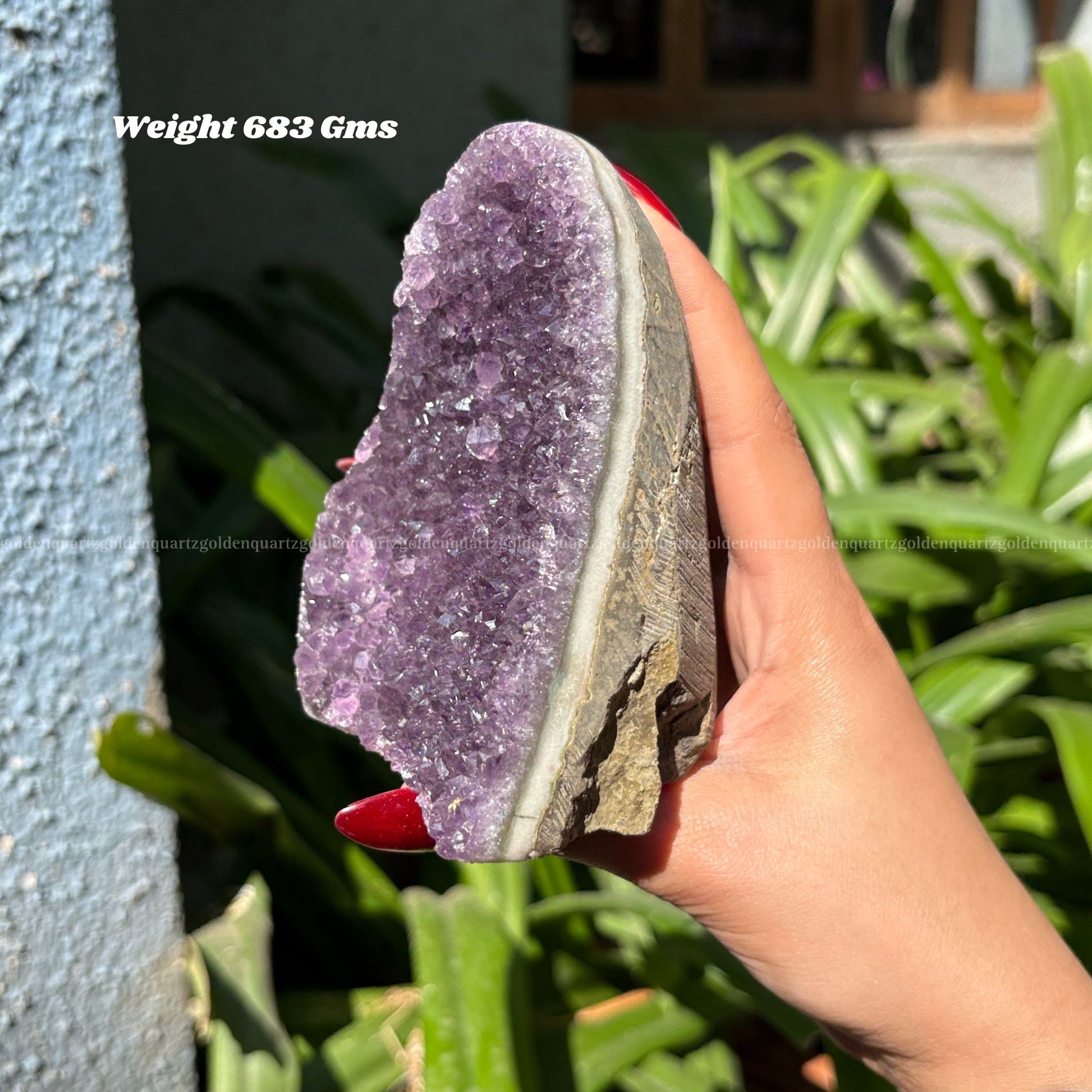 AMETHYST GEODE - Golden Quartz 
