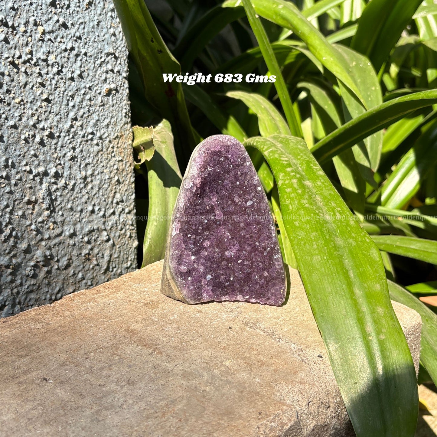 AMETHYST GEODE - Golden Quartz 