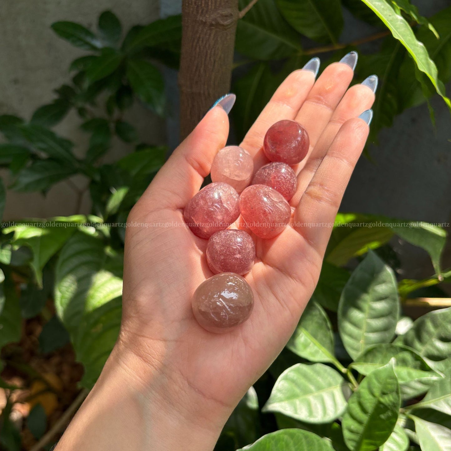 STRAWBERRY QUARTZ TUMBLE STONES - Golden Quartz 