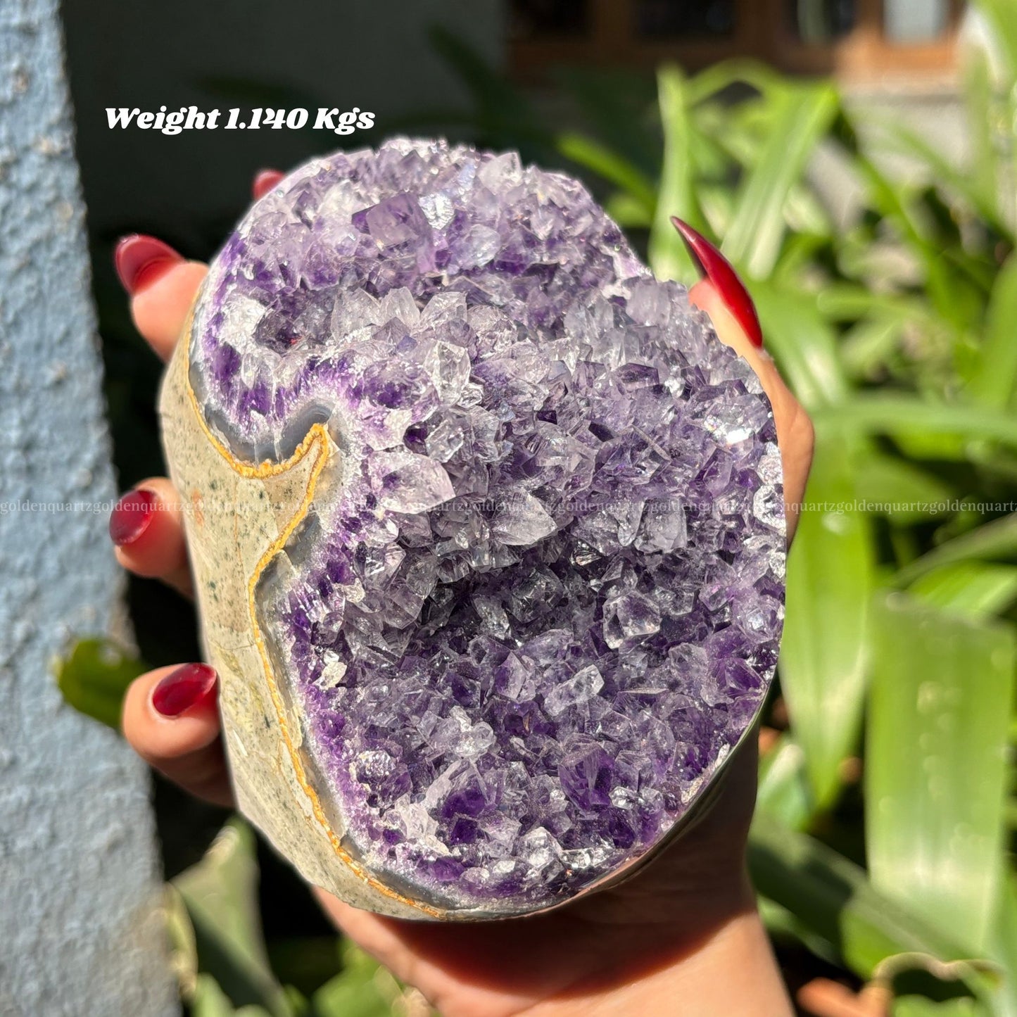AMETHYST GEODE - Golden Quartz 