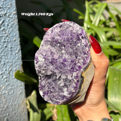 AMETHYST GEODE - Golden Quartz 