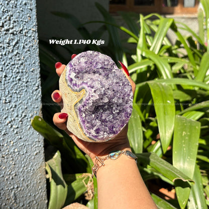 AMETHYST GEODE - Golden Quartz 