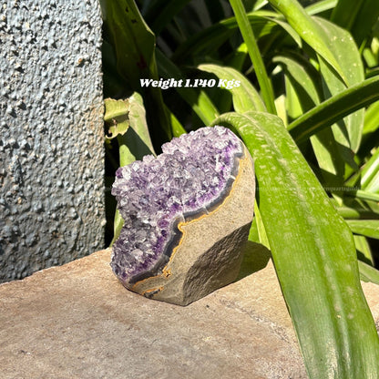 AMETHYST GEODE - Golden Quartz 