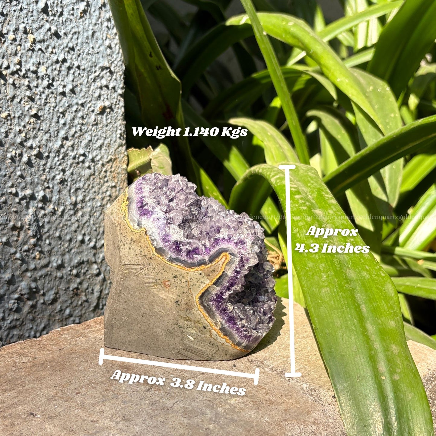 AMETHYST GEODE - Golden Quartz 