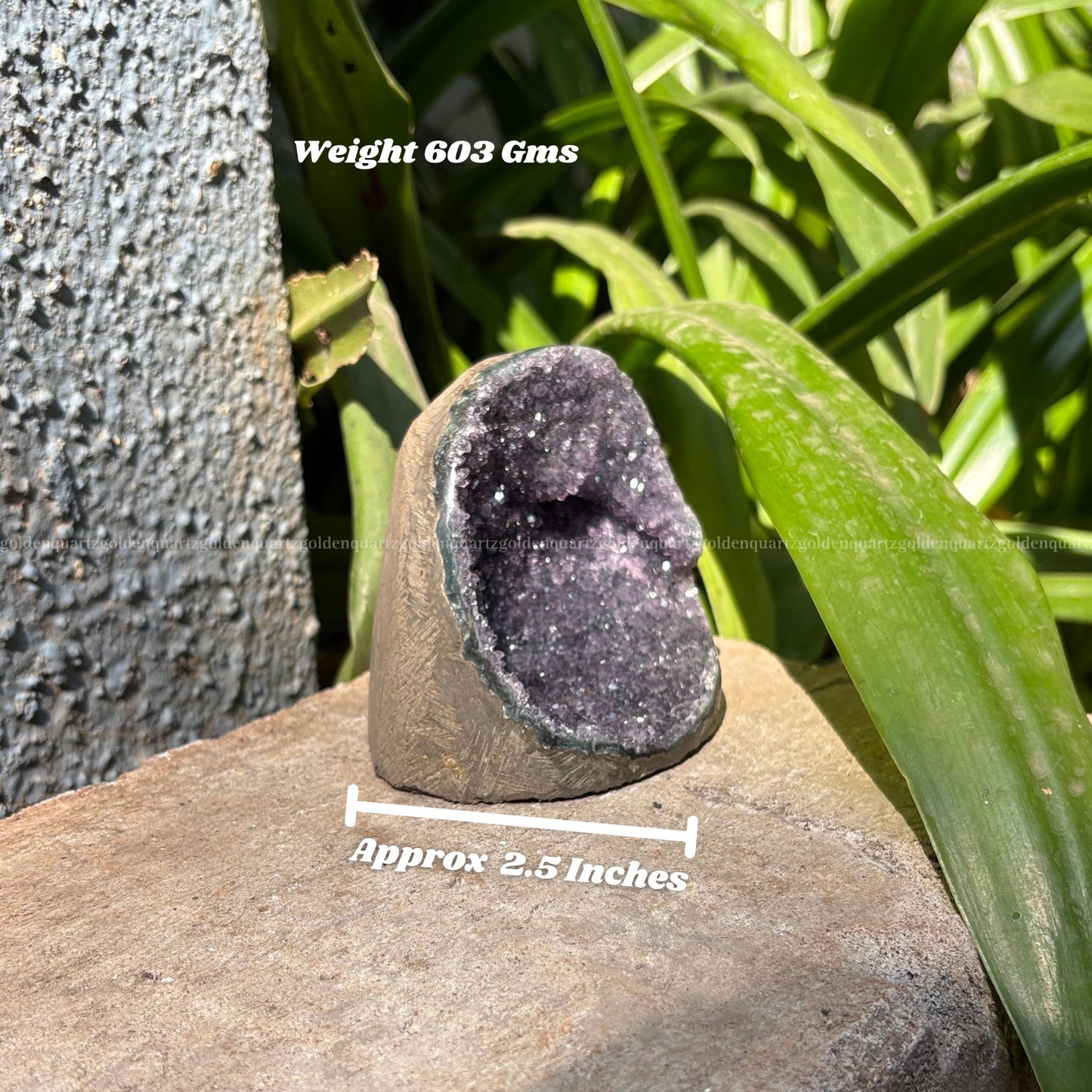 AMETHYST GEODE - Golden Quartz 