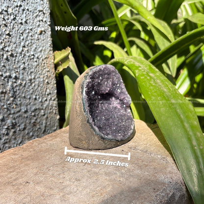 AMETHYST GEODE - Golden Quartz 