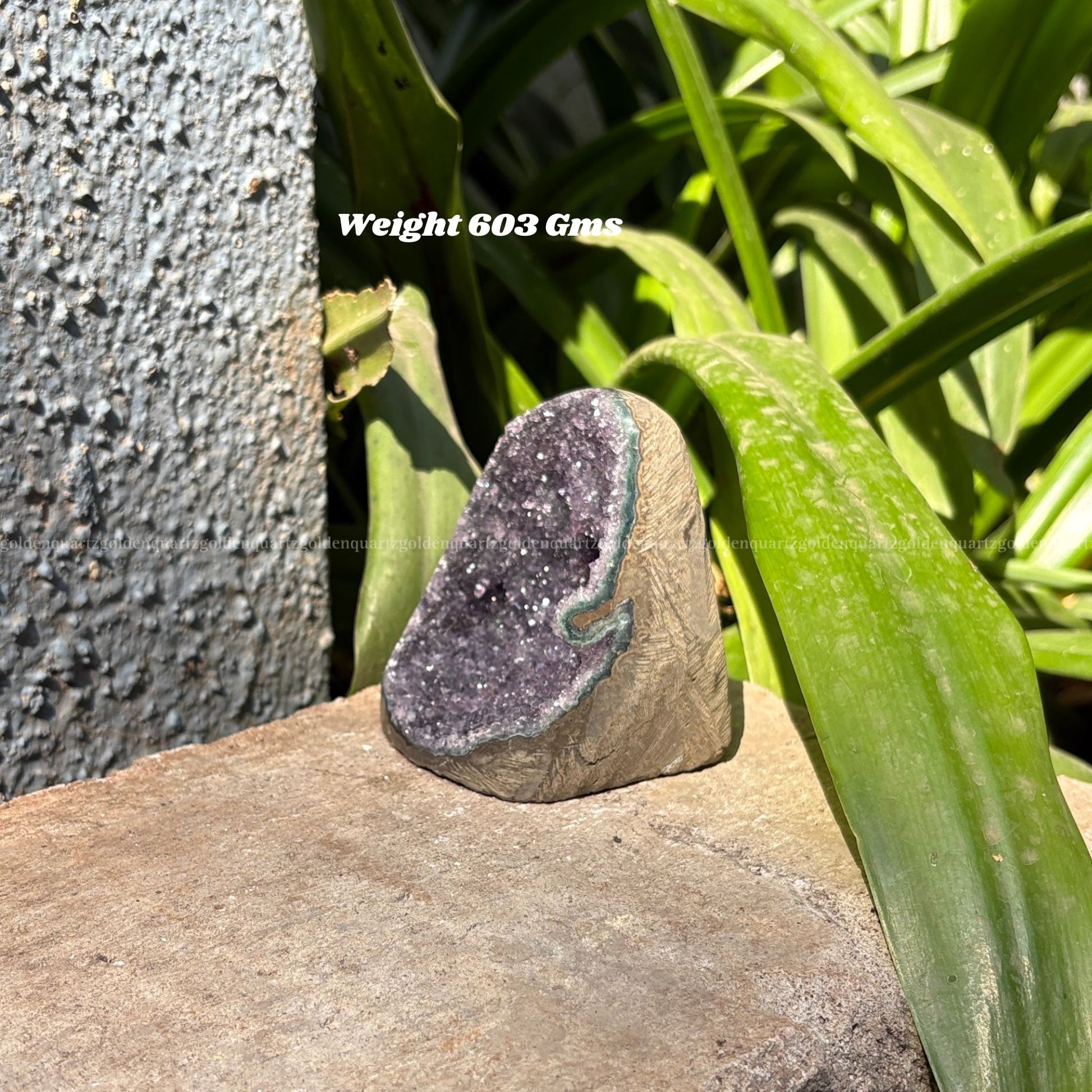 AMETHYST GEODE - Golden Quartz 