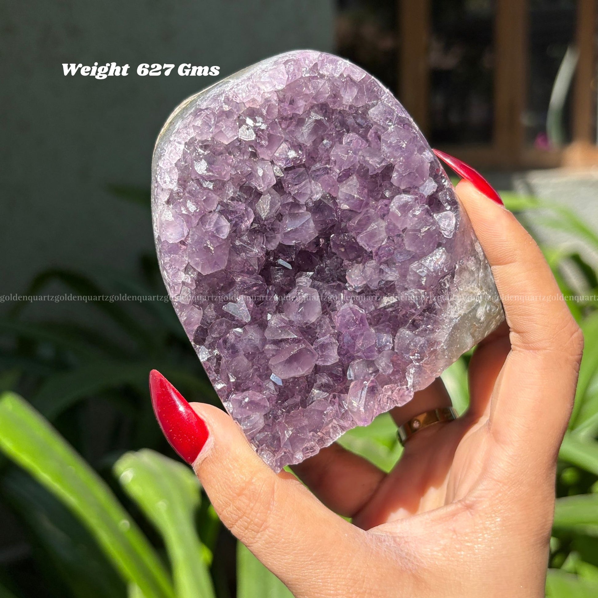 AMETHYST GEODE - Golden Quartz 