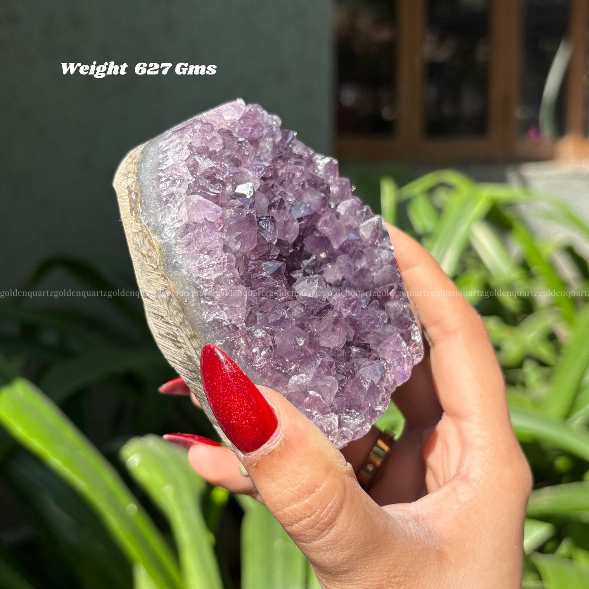 AMETHYST GEODE - Golden Quartz 