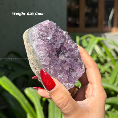 AMETHYST GEODE - Golden Quartz 
